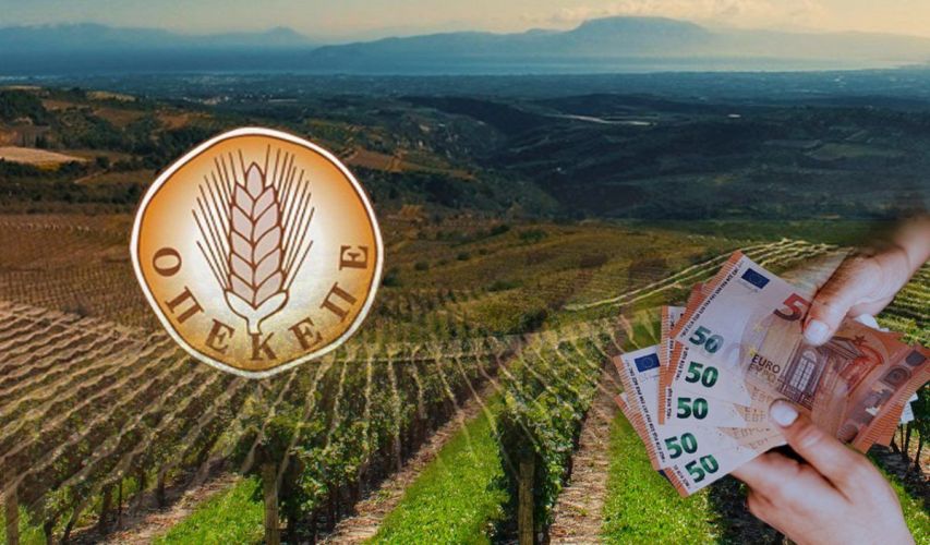 ΟΠΕΚΕΠΕ: Η Αποτυχία ενός Θεσμού και Έλλειμμα Λογοδοσίας