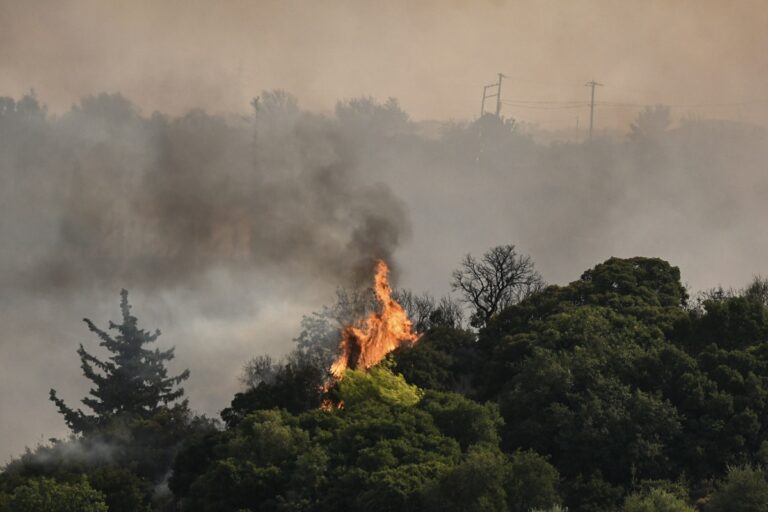 Δασικές Πυρκαγιές στην Ελλάδα: Αίτια, Ευθύνες και Προοπτικές Αντιμετώπισης