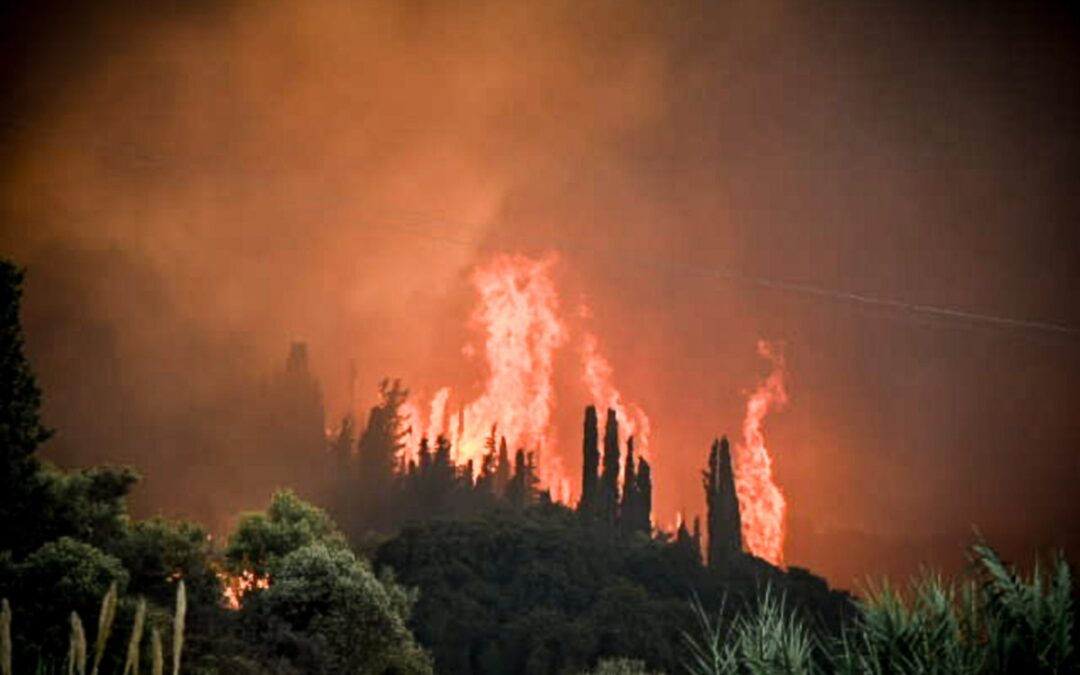 Η Επαναλαμβανόμενη Τραγωδία των Δασικών Πυρκαγιών στην Ελλάδα