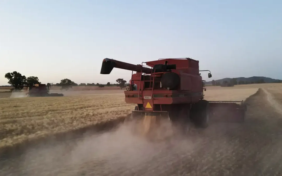 Πού πήγαν τα 180 δισ. επιδοτήσεων; Η ιστορική αποτυχία του ελληνικού αγροτικού μοντέλου