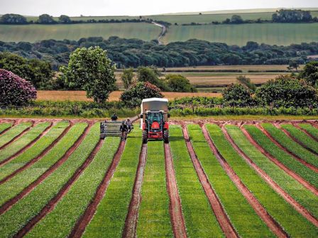 Δημόσιες αγροτικές δαπάνες και κοινωνική αναπαραγωγή στην Ελλάδα