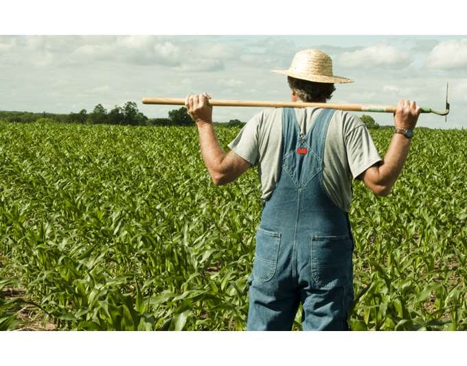 Η Αγροτική Ύπαιθρος στο Περιθώριο: Κοινωνική Ευαισθησία και Πολιτική Ανισορροπία