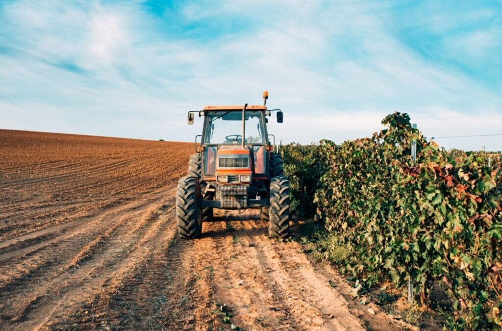 Αγροτική πολιτική και δημόσιες δαπάνες: τα όρια της ευρωπαϊκής στήριξης