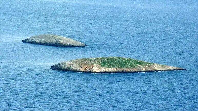 Ίμια 1996: Θεσμικά Κενά, Επικοινωνιακή Απορρύθμιση και Πολιτική Ρευστότητα