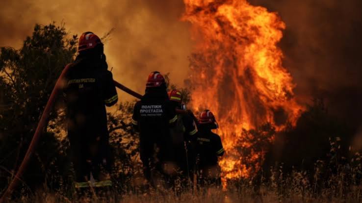 Δικαίωμα στη ζωή και δασικές πυρκαγιές: Οι θετικές υποχρεώσεις του κράτους